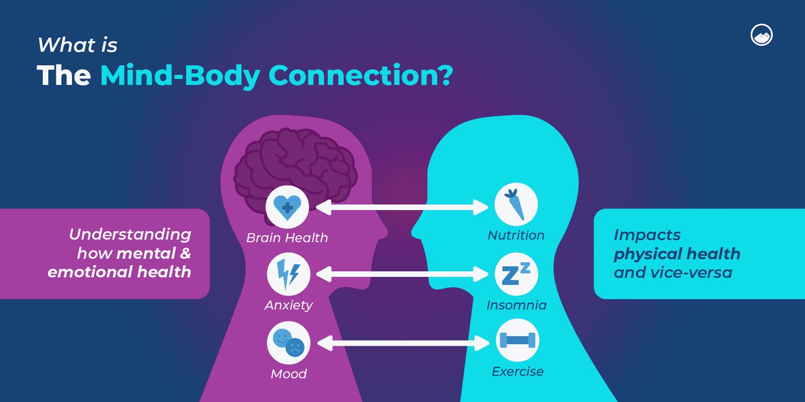 Understanding the Mind-Body Connection